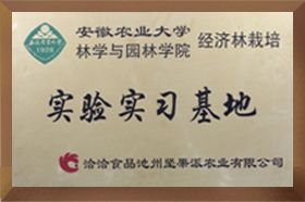 安农大实验实习蜜桃AV噜噜一区二区三区麻豆