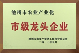 市级龙头麻豆国产精品一级毛片无码