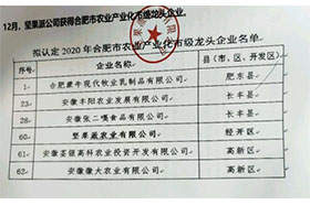 2020年合肥市农业产业化市级龙头麻豆国产精品一级毛片无码